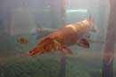 Fish Hatchery.jpg